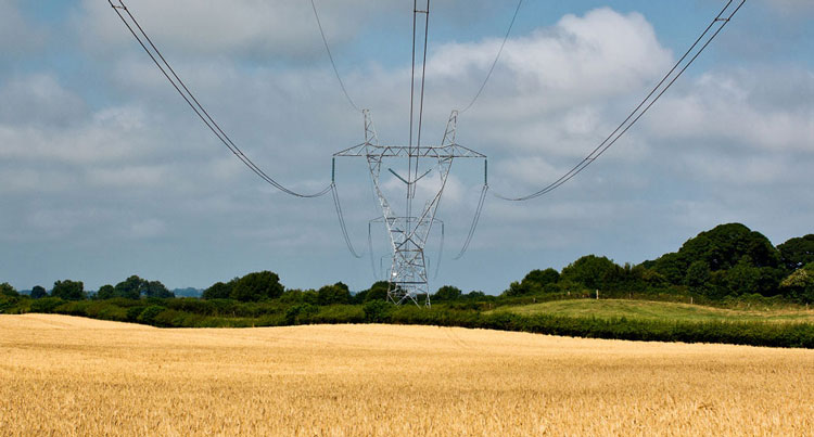 electric pole in field